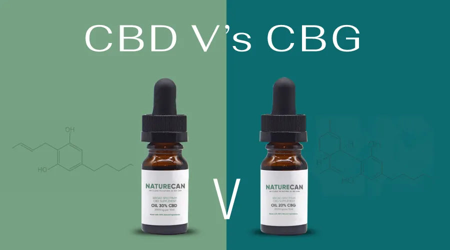 CBG vs CBD