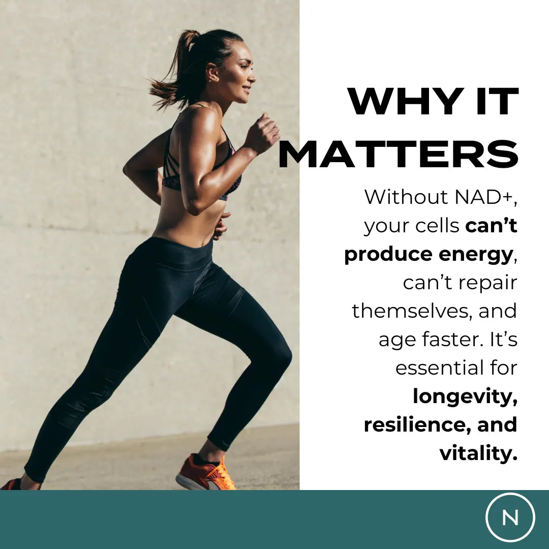 NMN and Resveratrol Bundle