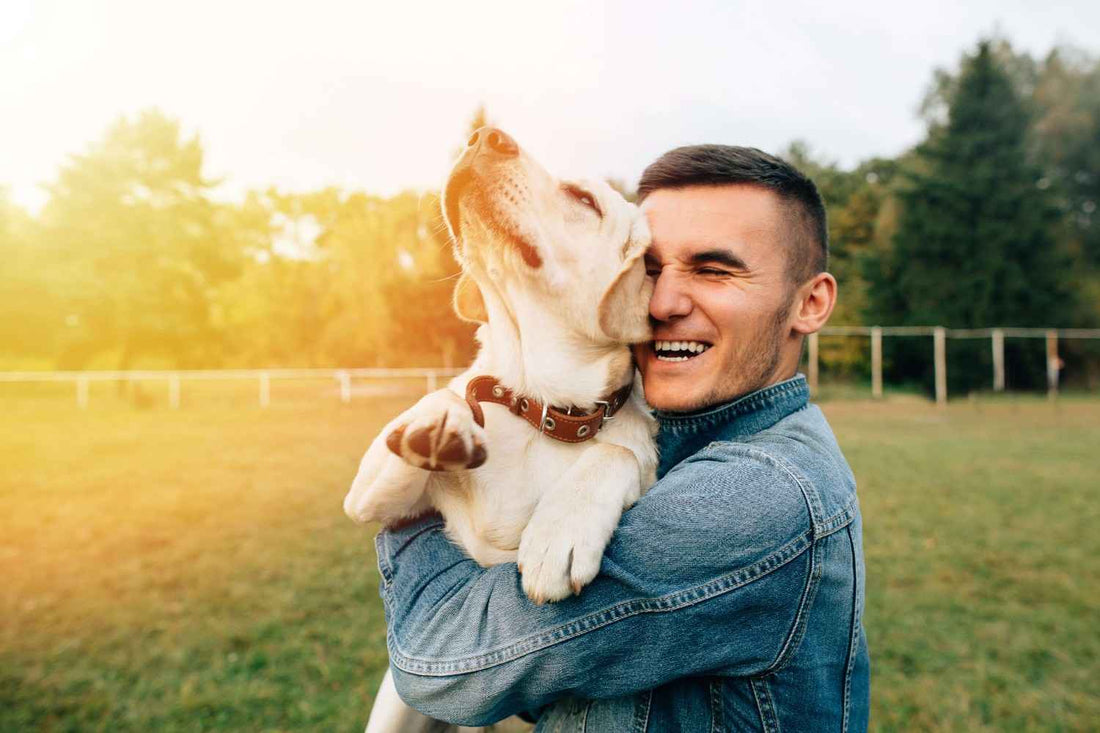 IS CBD SAFE FOR YOUR PETS