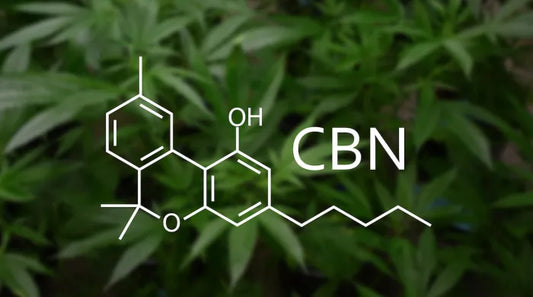 What is CBN? The Entourage Effect with CBD, CBN and CBG