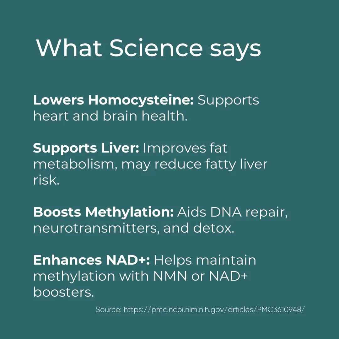 TMG Supplement