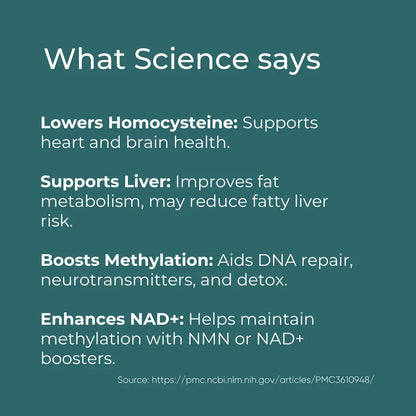 TMG Supplement