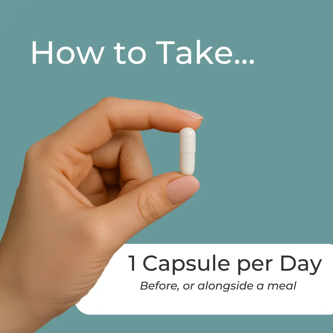 TMG Supplement