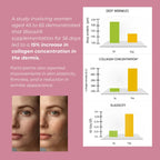 Bloosil_Infographics_2