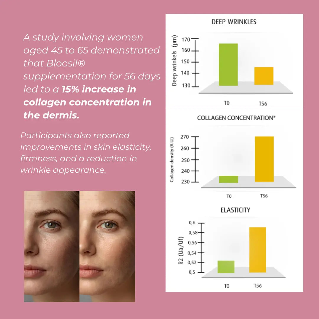 Bloosil_Infographics_2