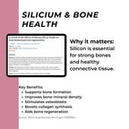Bloosil_Infographics_3