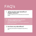 Bloosil_Infographics_7