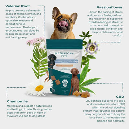 calming dog treats ingredients