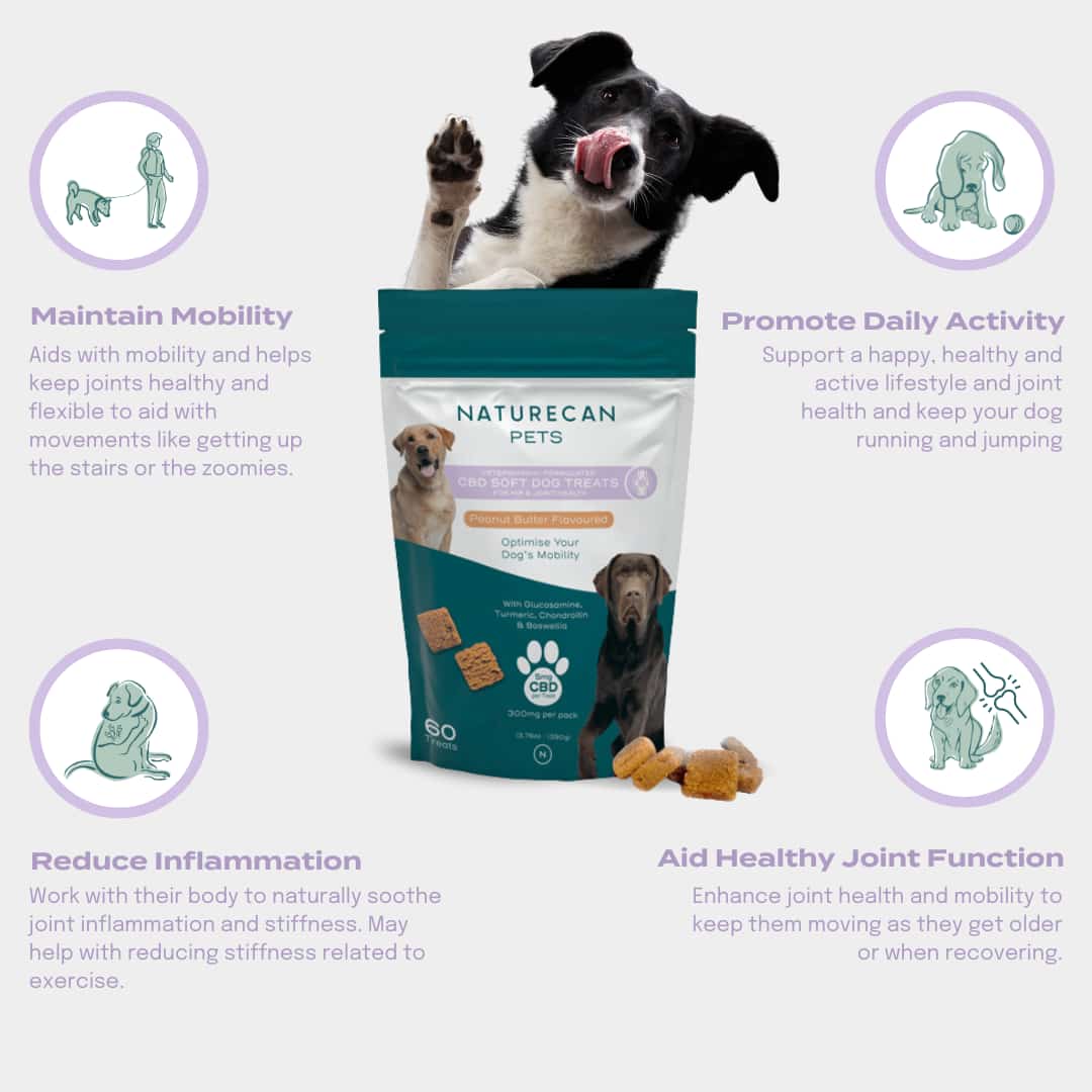 why are joint health treats so great? Maintain mobility, promote daily activity, reduce inflammation, aid healthy joint function