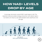 NMN Supplement