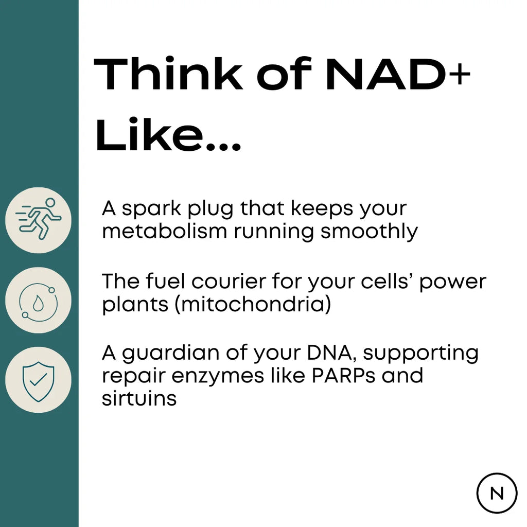 NMN Supplement