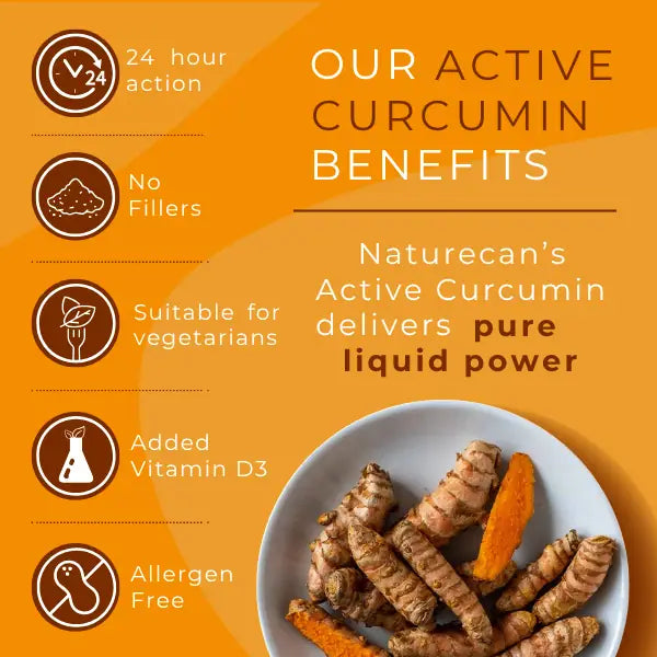 Naturecan Active Curcumin benefits infographic – 24-hour action, no fillers, suitable for vegetarians, added Vitamin D3, allergen free, with fresh turmeric root in a bowl