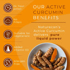 Naturecan Active Curcumin benefits infographic – 24-hour action, no fillers, suitable for vegetarians, added Vitamin D3, allergen free, with fresh turmeric root in a bowl
