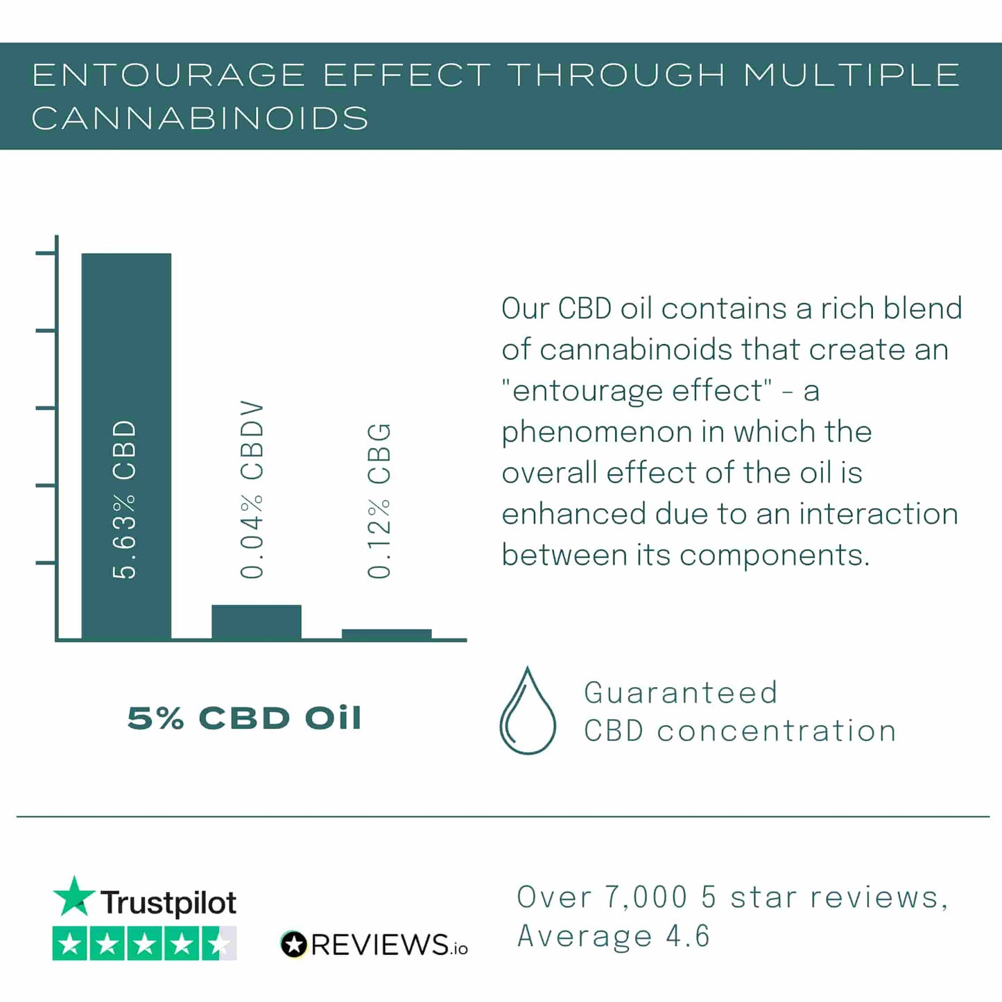 Entourage Effect With CBD Oil