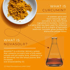 What is Curcumin and NOVASOL® – infographic with turmeric powder and lab flask explaining curcumin as turmeric's active ingredient and NOVASOL micellar delivery system for enhanced bioavailability