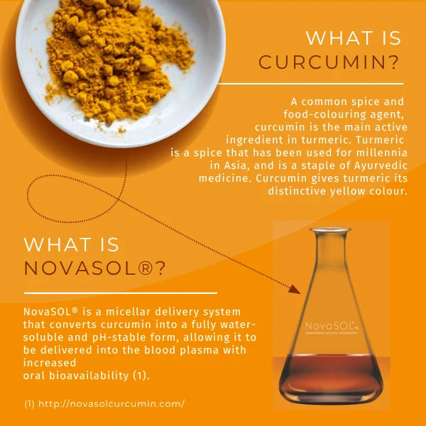 What is Curcumin and NOVASOL® – infographic with turmeric powder and lab flask explaining curcumin as turmeric's active ingredient and NOVASOL micellar delivery system for enhanced bioavailability
