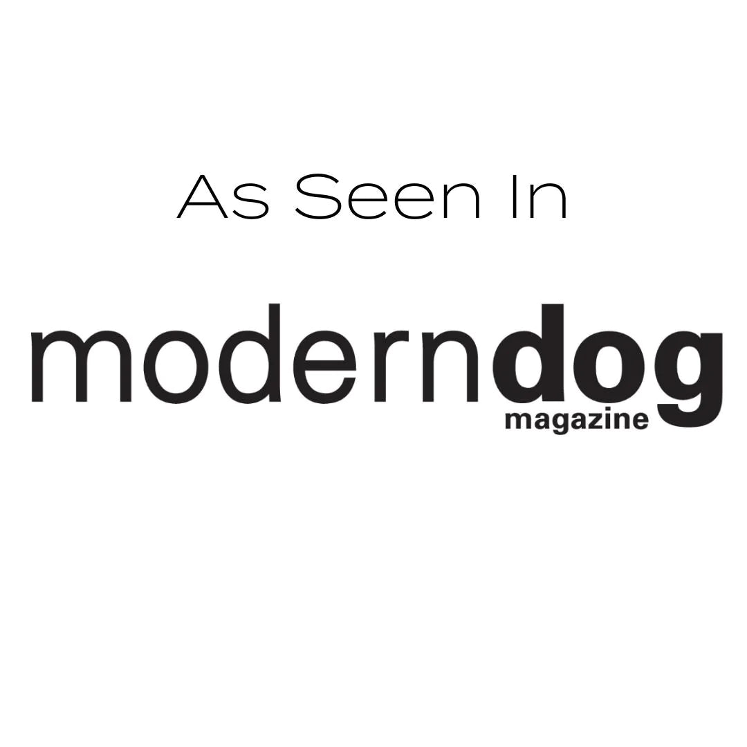 CBD Oil for Dogs
