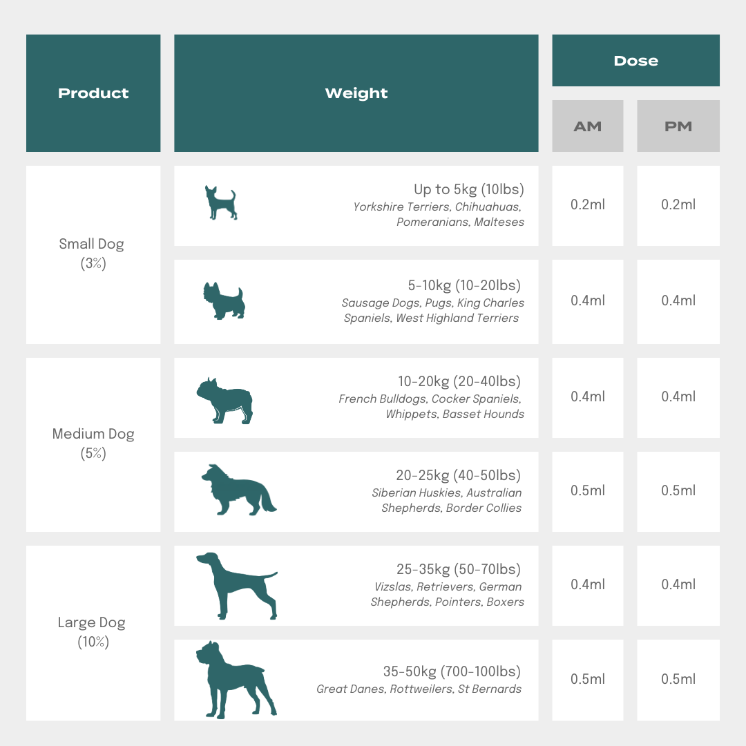 CBD oil for dogs dosage