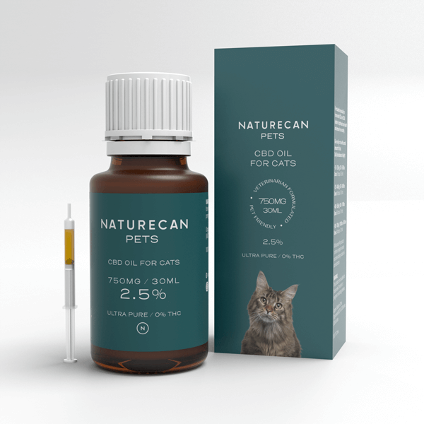 CBD oil for Cats